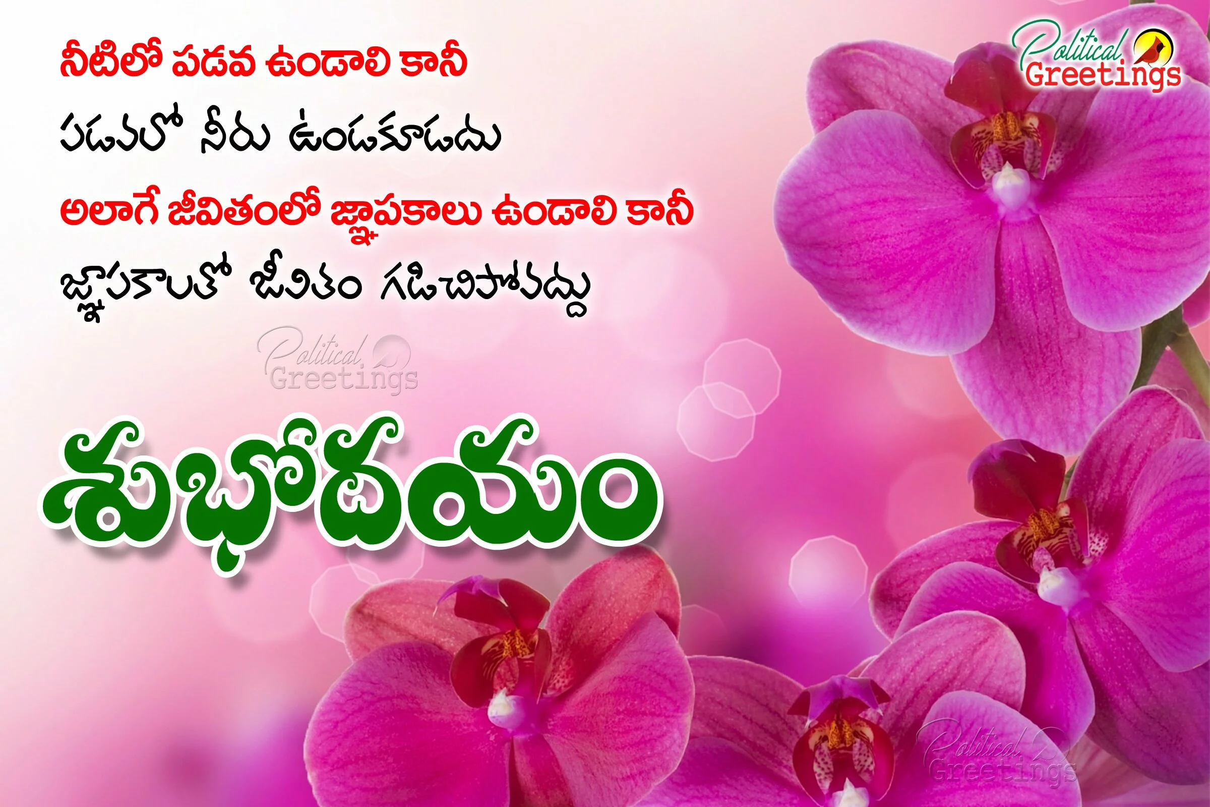 good-morning-telugu-life-quotes-images-with-motivational-messages2