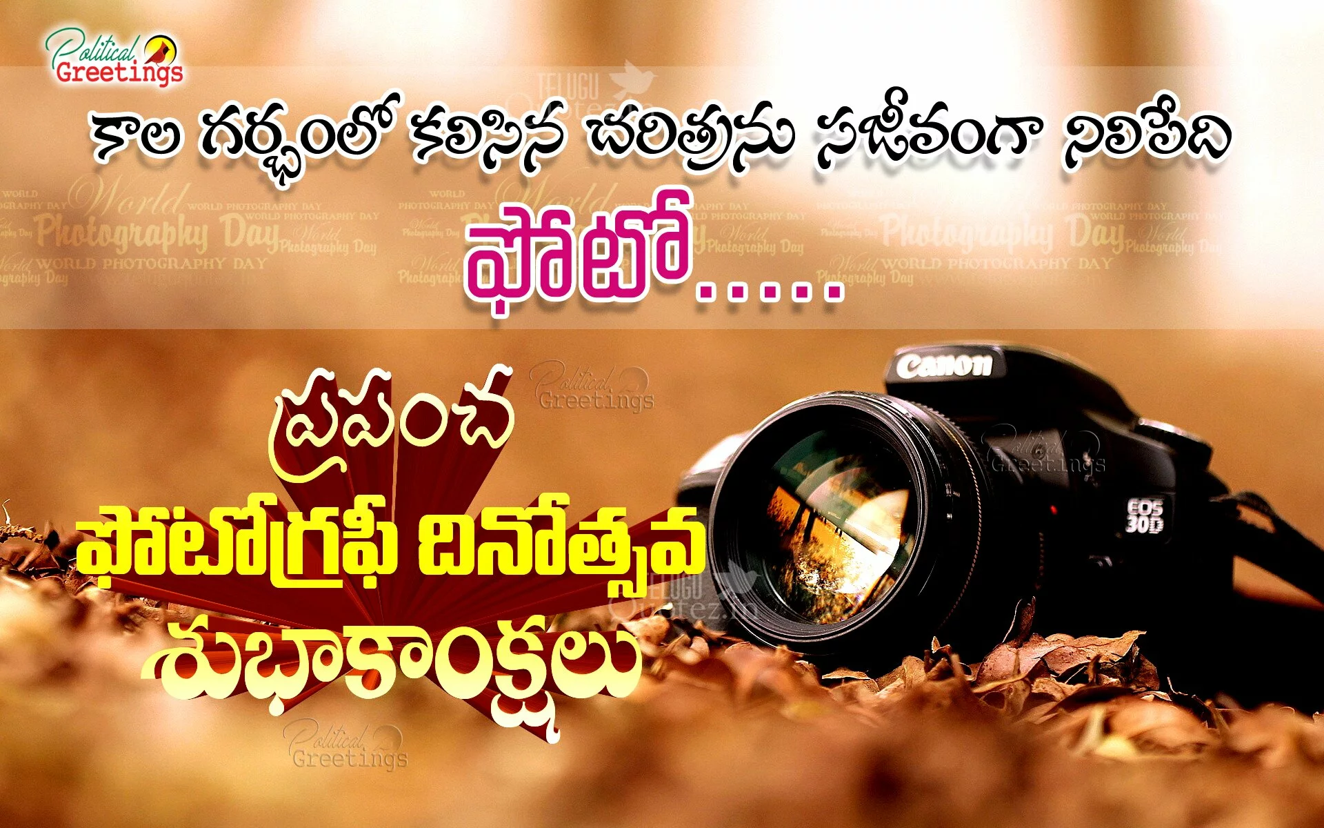 International Photography Day Advance Greetings Quotes in Telugu Language